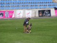 /album/fci-ipo-2012-vb-zalaegerszeg/fci2012zalaegerszeg-007-jpg/